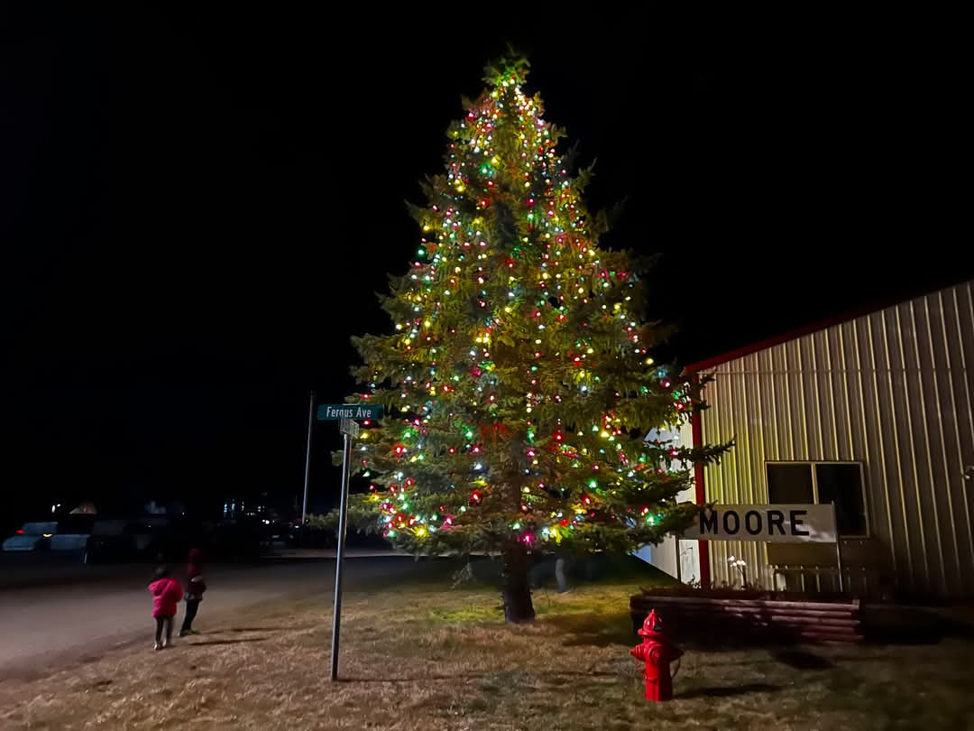 Town Christmas Tree Lighting